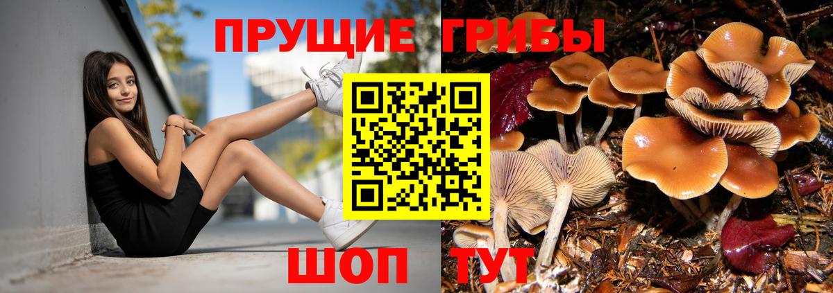 Псилоцибиновые грибы ЛСД Гагарин
